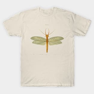 Dragonfly T-Shirt